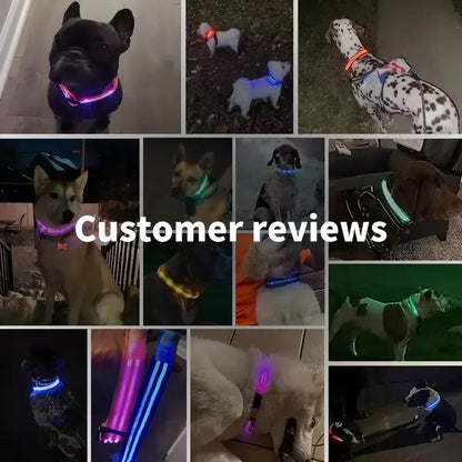 LED Glowing Dog Collar Adjustable Flashing Rechargea Luminous Collar Night Anti-Lost Dog Light HarnessFor Small Dog Pet Products